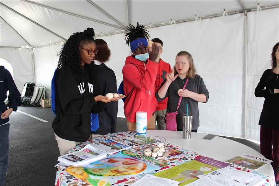 Students at an agriculture exhibit. One holds fresh eggs while two students stand next to hear signing.
